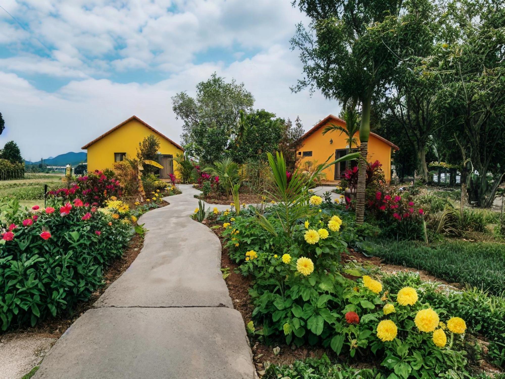 Ninh Binh Peaceful Retreat Villa ภายนอก รูปภาพ