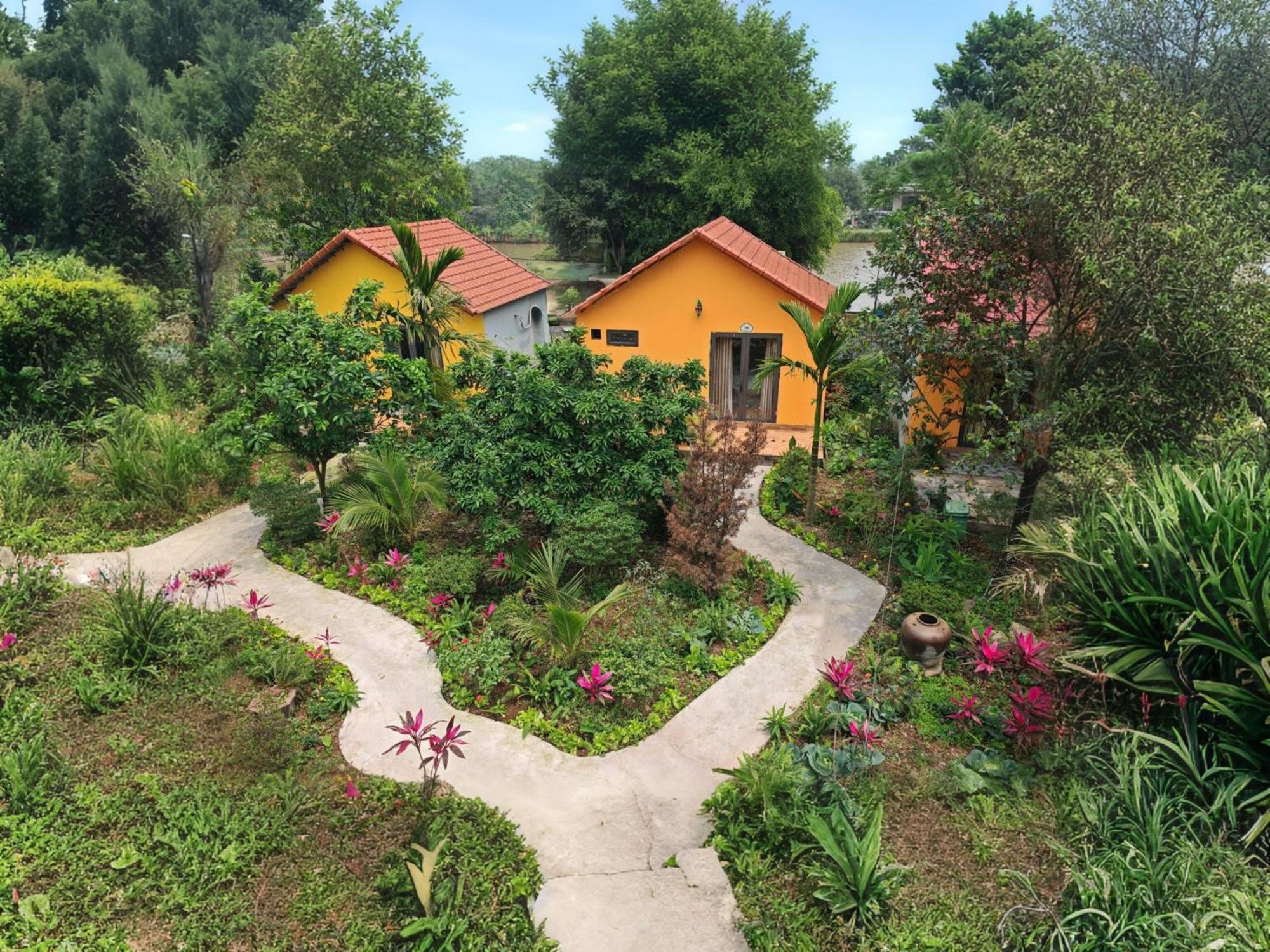 Ninh Binh Peaceful Retreat Villa ภายนอก รูปภาพ